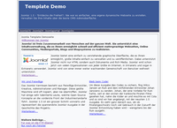 IBSI-US.COM Affordable Custom Web site design Tampa Florida